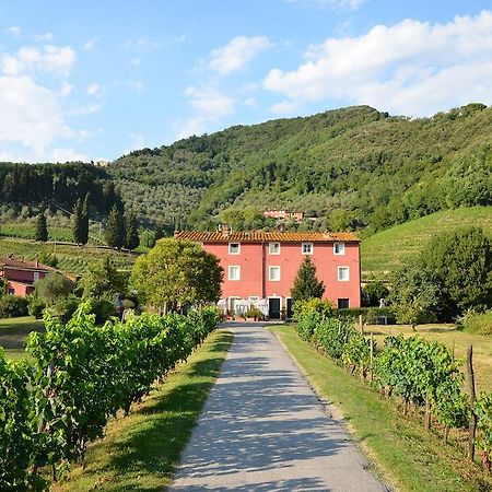 Agriturismo Le Murelle Lucca Dış mekan fotoğraf