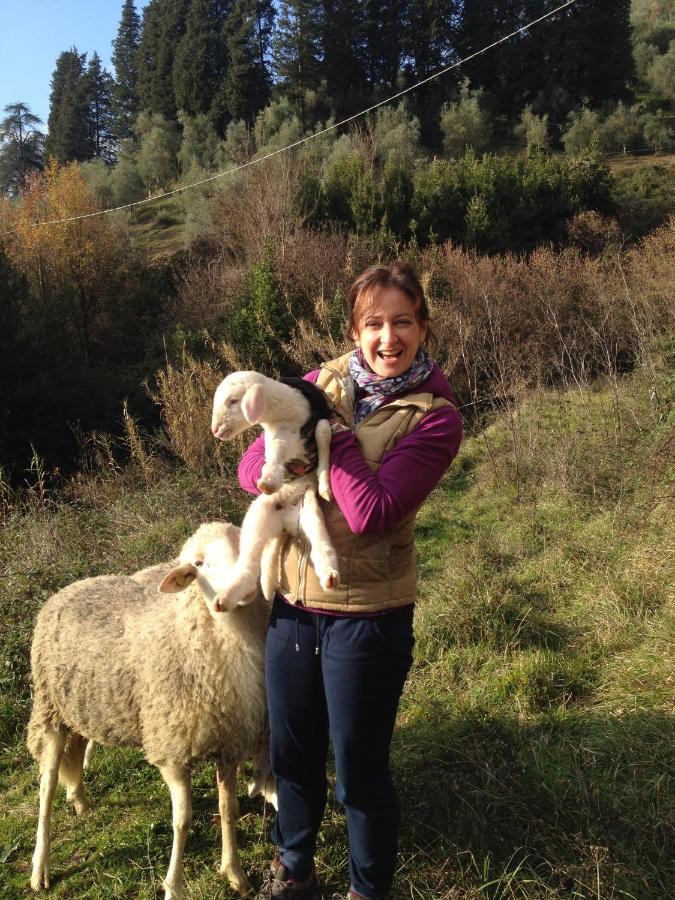 Agriturismo Le Murelle Lucca Dış mekan fotoğraf