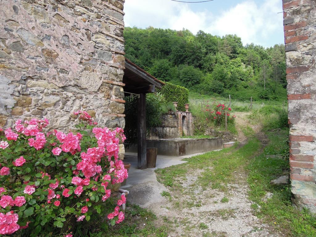 Agriturismo Le Murelle Lucca Dış mekan fotoğraf