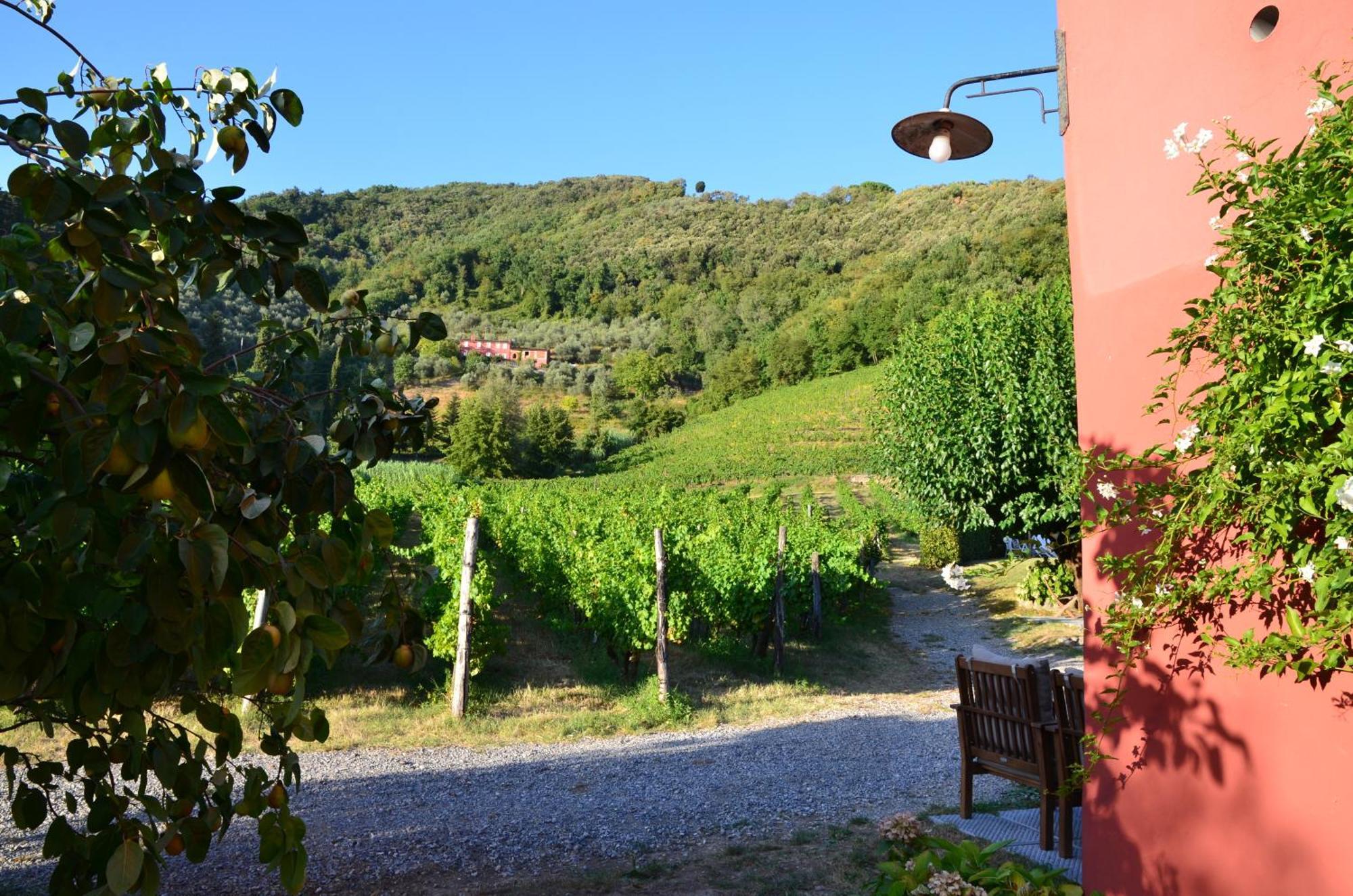 Agriturismo Le Murelle Lucca Dış mekan fotoğraf