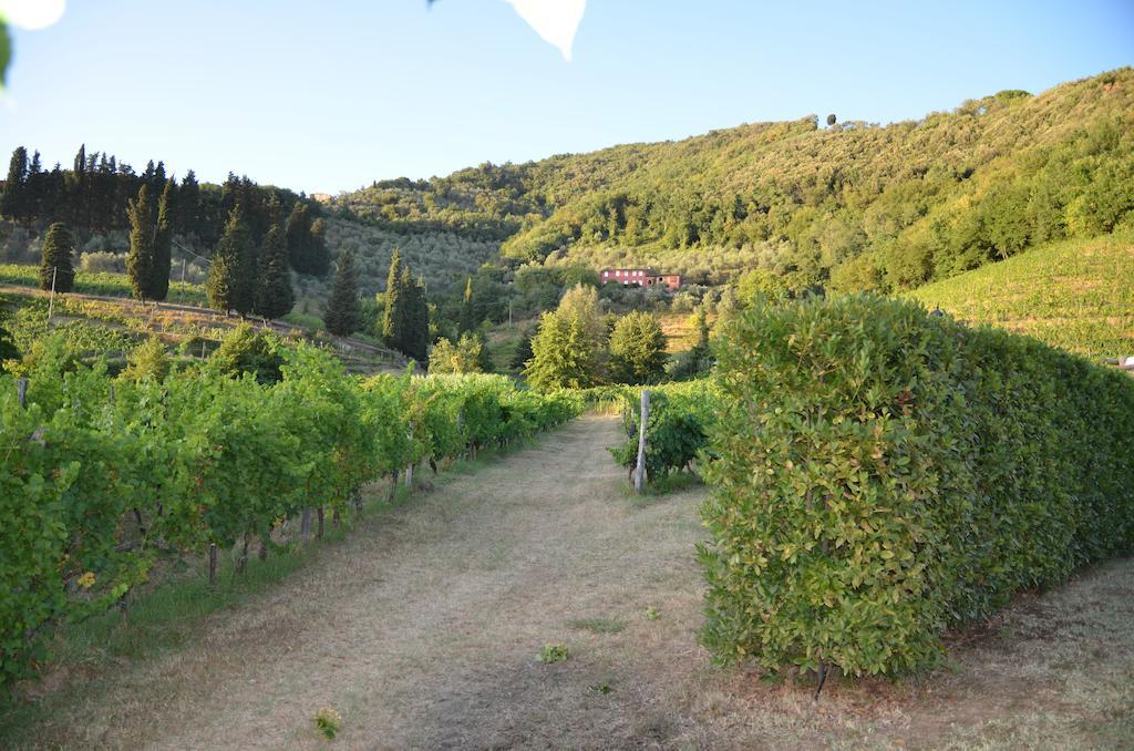 Agriturismo Le Murelle Lucca Dış mekan fotoğraf